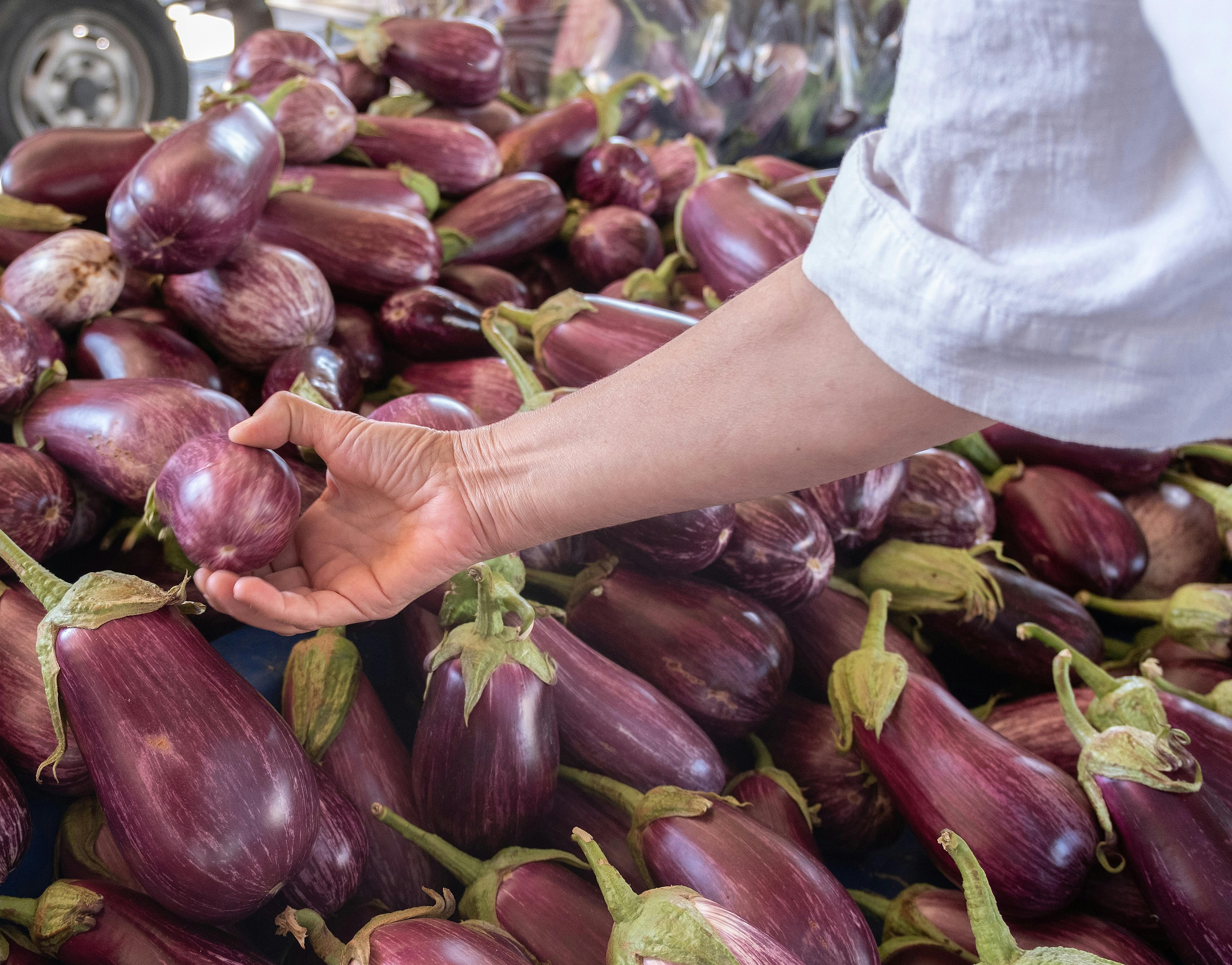 brinjal